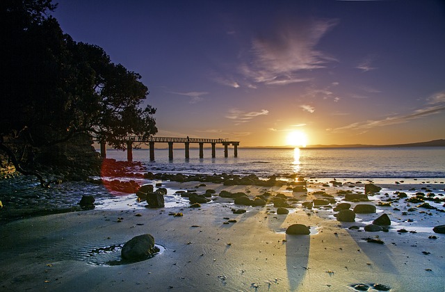 Auckland City Beach